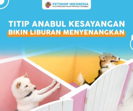 Saran Ide Dan Informasi Hewan Peliharaan Blog Petshop Indonesia