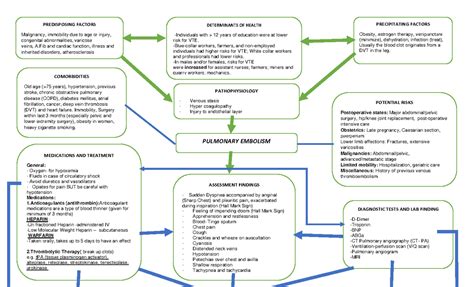 Pulmonary Embolism Concept Map Warning TT Undefined Function 32