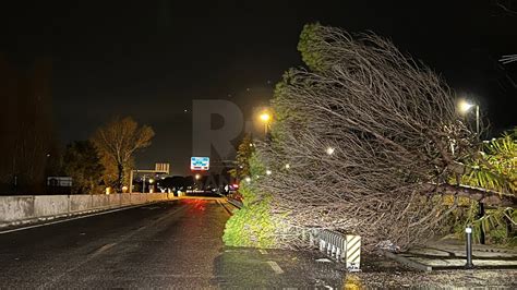 Rimini Niente Neve Ma Tanti Interventi Per Danni Causati Dal Vento