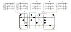 Caged System Diagram