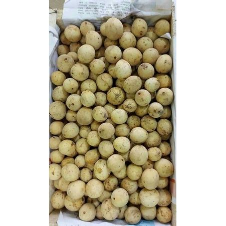 Jual Duku Palembang Dukuh Buah Palembang Kg Shopee Indonesia