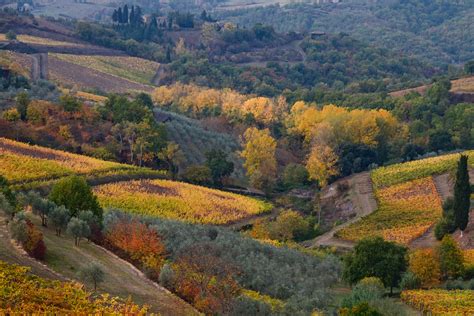 All Colours Of Autumn Tuscany Chianti Toscana Italy Flickr