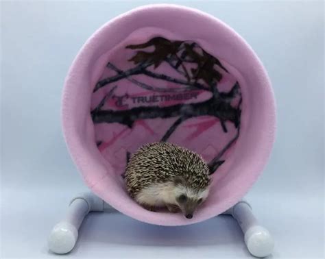 Best Hedgehog Wheel - Heavenly Hedgies