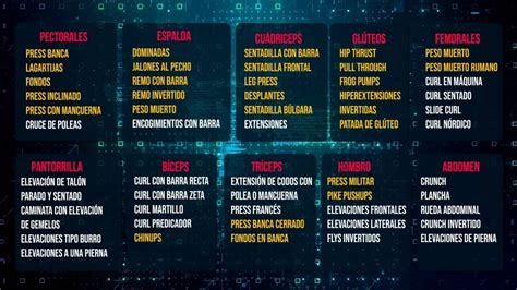 vacío Apariencia Transistor dividir grupos musculares para entrenar la