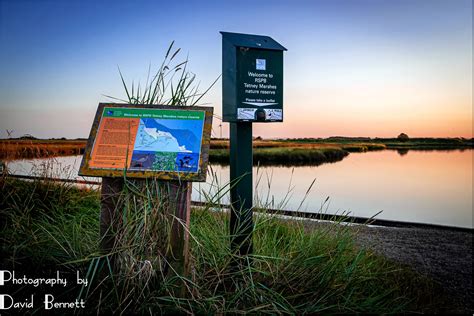 Lincolnshire Cam: Postcards from RSPB Tetney Reserve.