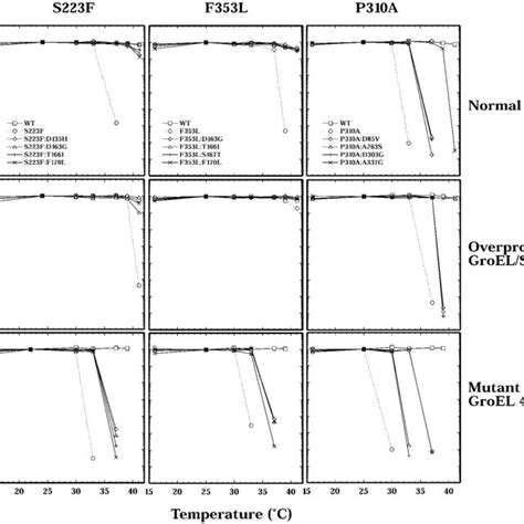 Efficiency Of Plating Of P With Tsf And Tsf Su Mutant Coat Proteins