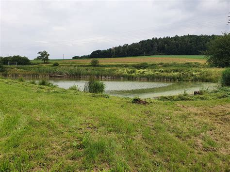 Oberer Schwabsweiher Fischereiverein Burghaslach De