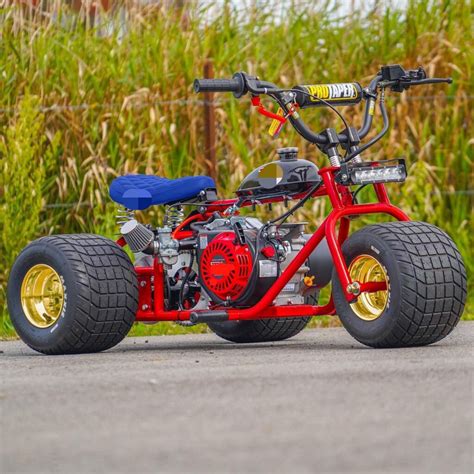 Royal Gold Rim Platinum Edition Mini Trike Mini Bike Kartelmini Trikemini Bike Trikemini