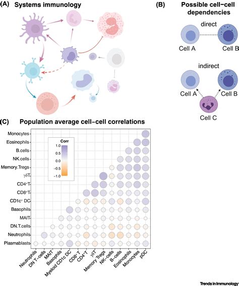 Making Human Immune Systems More Interpretable Through Systems Immunology Trends In Immunology