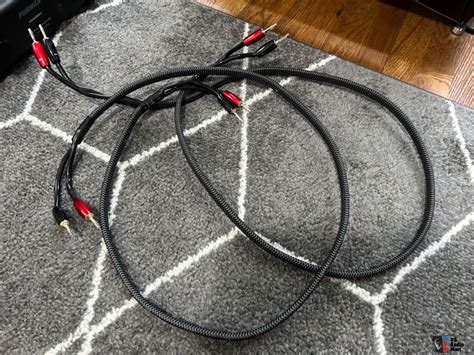 Audioquest Rocket 44 Speaker Cables 5 Feet For Sale Us Audio Mart