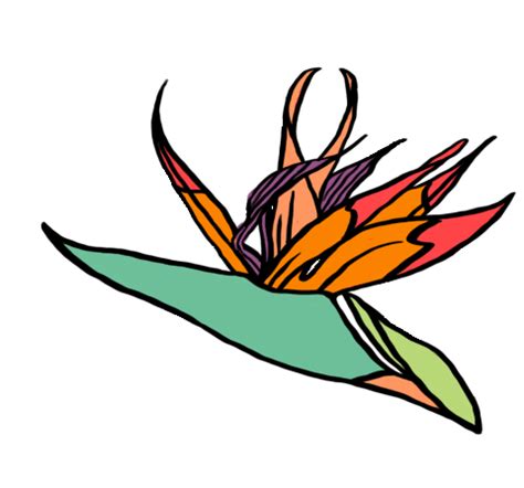 Tropical Babe Stickers Find Share On GIPHY