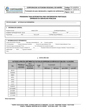 Completable En L Nea Corponarino Gov F M P Formulario De Auto