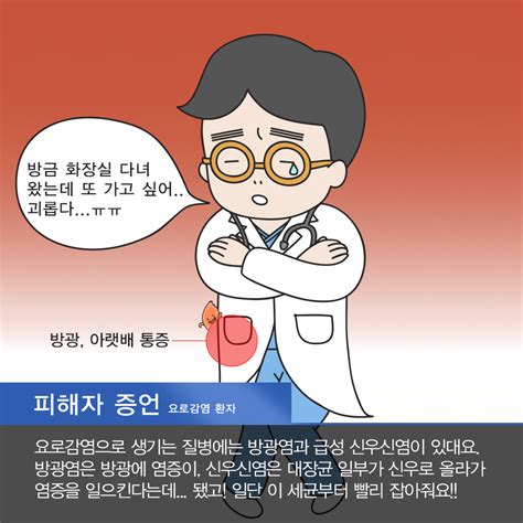 잊을만 하면 나타나는 대장균의 침입 요로감염 중앙일보헬스미디어