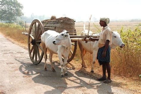 Antique Farm Wagon Value (Identification & Price Guides)