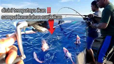 Di Atas Karang Ini Ternyata Sarangnya Ikan Youtube