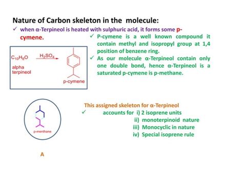 Chemistry of α-Terpineol | PPT