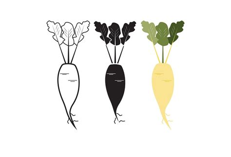 The Vector Illustration Showcases Various Root Vegetables Such As Beet Radish And Turnips