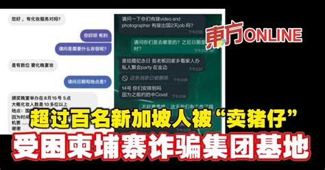 超过百名新加坡人被“卖猪仔” 受困柬埔寨诈骗集团基地 国际 東方網 馬來西亞東方日報