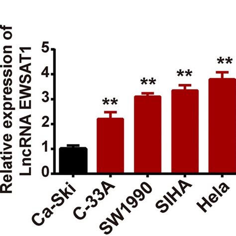 Ewsat Was Upregulated In Cervical Cancer Tissues And Cells A Ewsat