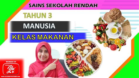 7 Kelas Makanan Sains Tahun 3 Sains Rantaian Makanan Sumber Pengajaran Esteban Osinski