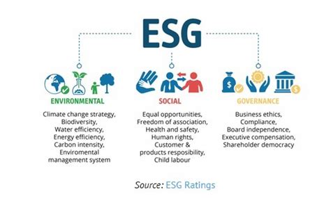 O Papel Fundamental De Compras No Atingimento De Metas De Esg Trans4mar