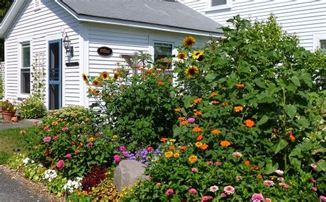 Home- Bar Harbor Cottages and Suites near Acadia National Park - Bar ...