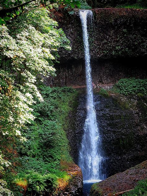 Chasing Waterfalls At Silver Falls State Park In Oregon - This Way To ...