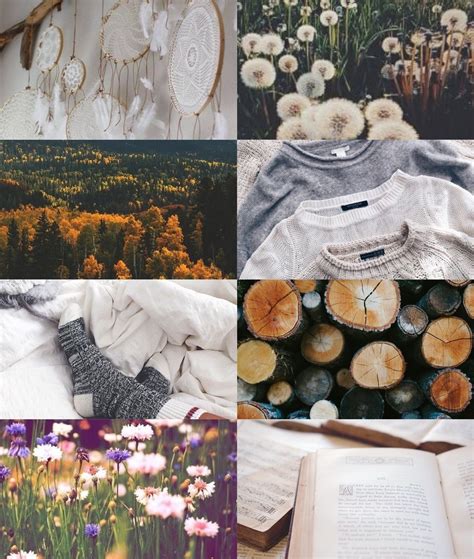 Aesthetic collage. Nature. | Aesthetic collage, Aesthetic art, Aesthetic