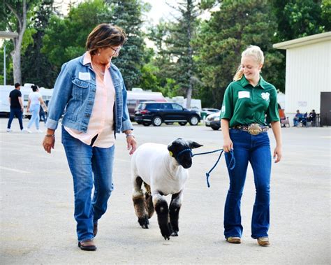 State Leaders Try Their Hand At 4 H Livestock Showmanship At The North