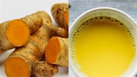 Cara Membuat Minuman Temulawak Untuk Tingkatkan Daya Tahan Tubuh