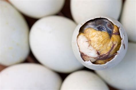 How Many Hours To Cook Balut - BIG DREAM