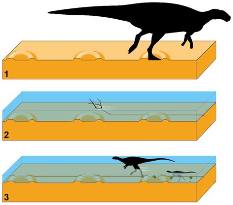 No dinosaur stampede at Lark Quarry – so what really happened?