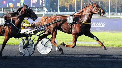 Iroise de la Noé la perle rare de Thomas Levesque