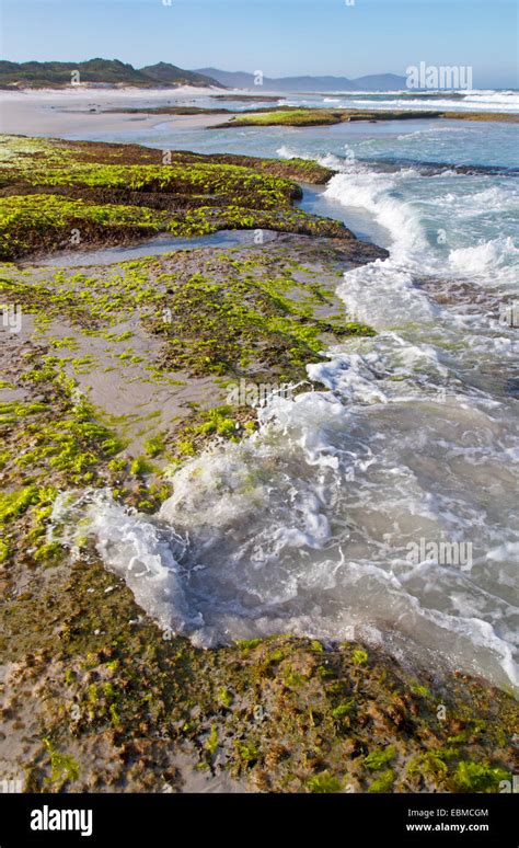 The Friendly Beaches on Freycinet Peninsula Stock Photo - Alamy