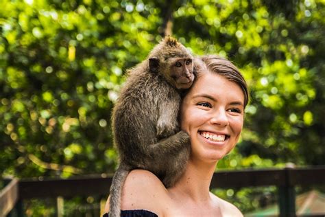 Free stock photo of dslr, friendship, monkey