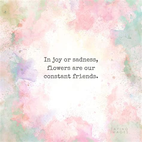 35 Beautiful Flower Quotes to Celebrate Life, Hope, and Love ...