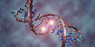 Controllo Dei Geni Scoperta La Seconda Parte Di Codice Del Dna