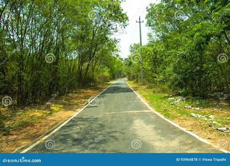 Road With Greenery Background Stock Photo Image Of Road Side 93964878