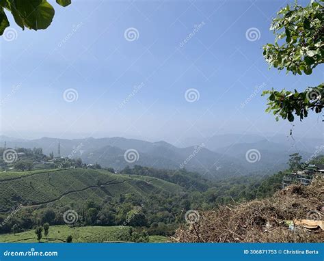 The Beautiful Hill Station of Munnar in the State of Kerala, India ...