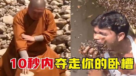 全网那些让你直呼卧槽的牛人，徒手掏蜂窝就算了，还吃起来了？ Youtube