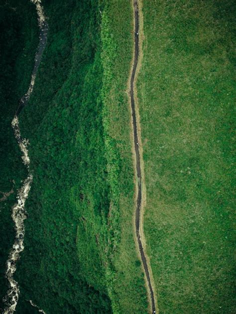 Birds Eye View of Green Plains · Free Stock Photo