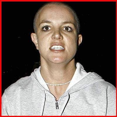 britney-spears-bald - The Snipe News