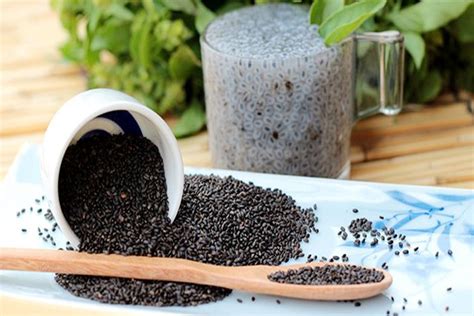 Amazing Health Benefits Of Sabja Seeds Basil Seeds For Health And