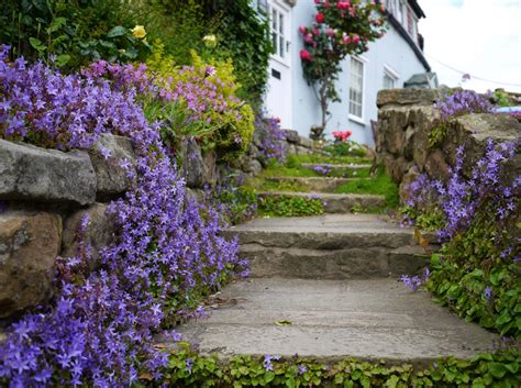 Английские дома и розы: home_and_garden — LiveJournal