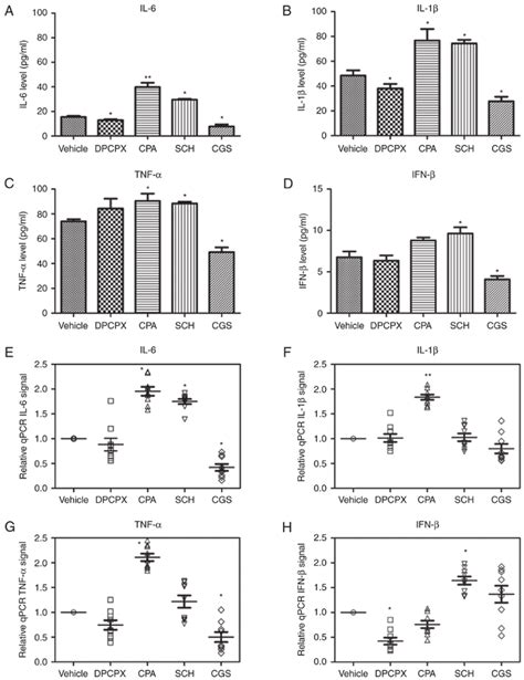 Effects Of A1r And A2ar On The Production Of Il 6 Ifn β Il 1β And Download Scientific Diagram