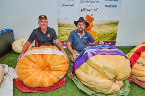 Oh my gourd! Giant reward for a giant Ekka pumpkin | Queensland Farmer ...