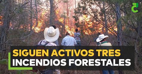 Siguen Activos Tres Incendios Forestales