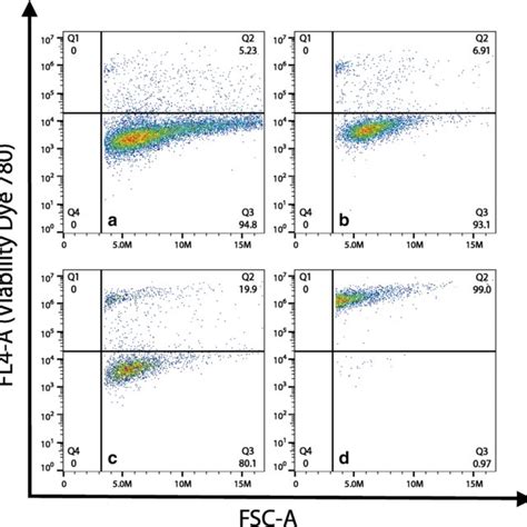 A Representative Flow Cytometry Data For Cell Viability FL4 A Versus