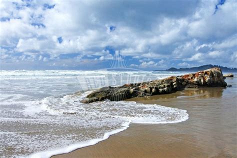 Nye Beach, Oregon - Red Studio Inc.