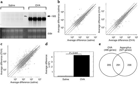 Figure 1 From Dissection Of Experimental Asthma With DNA Microarray